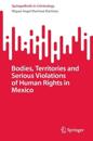 Bodies, Territories and Serious Violations of Human Rights in Mexico