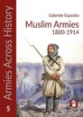 Muslim Armies 1800-1914