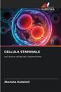 Cellula Staminale
