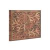Wildwood (Tree of Life) Unlined Guest Book