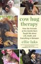 Cow Hug Therapy