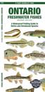 Ontario Freshwater Fishes