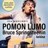 Pomon lumo – Bruce Springsteenin tarina