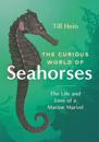 Curious World of Seahorses