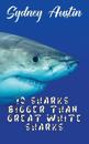 10 Sharks Bigger Than Great White Sharks