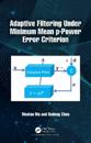 Adaptive Filtering Under Minimum Mean p-Power Error Criterion