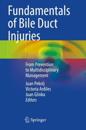 Fundamentals of Bile Duct Injuries