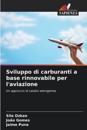 Sviluppo di carburanti a base rinnovabile per l'aviazione