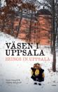Väsen i Uppsala / Beings in Uppsala