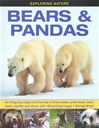 Exploring Nature: Bears & Pandas: An Intriguing Insight Into the Lives of Brown Bears, Polar Bears, Black Bears, Pandas and Others, with 190 Exciting