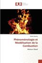 Phénoménologie et Modélisation de la Combustion