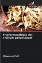 Fitofarmacologia del Trillium govanianum