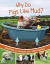 Why Do Pigs Like Mud?