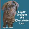 Super Trooper the Chocolate Lab