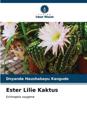 Ester Lilie Kaktus