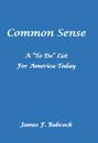 Common Sense, a &quote;To Do&quote; List for America Today