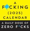 F*cking 2025 Boxed Calendar