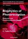 Biophysics Of Photoreception: Molecular And Phototransductive Events