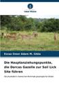 Die Hauptanziehungspunkte, die Dorcas Gazelle zur Soil Lick Site f?hren
