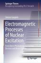 Electromagnetic Processes of Nuclear Excitation