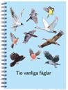 Tio vanliga fåglar, fakta- och arbetsbok