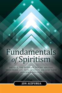 Fundamentals of Spiritism: The Soul, the Afterlife, Psychic Abilities, Mediumship, and Reincarnation and How These Influence Our Lives