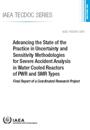 Advancing the State of the Practice in Uncertainty and Sensitivity Methodologies for Severe Accident Analysis in Water Cooled Reactors of PWR and SMR Types