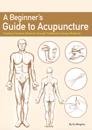A Beginner's Guide to Acupuncture
