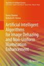 Artificial Intelligent Algorithms for Image Dehazing and Non-Uniform Illumination Enhancement