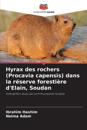 Hyrax des rochers (Procavia capensis) dans la r?serve foresti?re d'Elain, Soudan