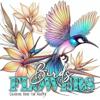 Birds and Flowers Coloring Book for Adults
