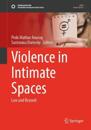 Violence in Intimate Spaces
