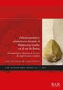 Paleoeconom?a y subsistencia durante el Pleistoceno medio en el sur de Iberia
