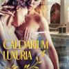 Caldarium Luxuria - erotisk novell