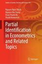Partial Identification in Econometrics and Related Topics