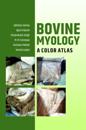 Bovine Myology: A Colour Atlas