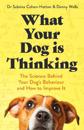 What Your Dog is Thinking