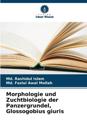 Morphologie und Zuchtbiologie der Panzergrundel, Glossogobius giuris