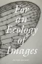 For an Ecology of Images