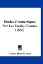 Etudes Geometriques Sur Les Etoiles Filantes (1868)