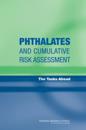 Phthalates and Cumulative Risk Assessment