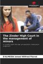 The Zinder High Court in the management of minors