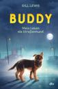 Buddy – Mein Leben als Straßenhund