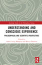 Understanding and Conscious Experience