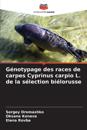 Génotypage des races de carpes Cyprinus carpio L. de la sélection biélorusse