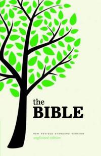 New Revised Standard Version Bible