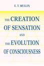 The Creation of Sensation and the Evolution of Consciousness