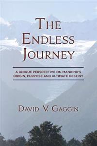 The Endless Journey: A Unique Perspective on Mankind's Origin, Purpose and Ultimate Destiny