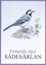 Sädesärlan Finlands djur