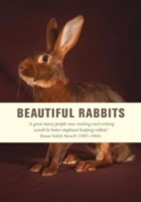 Beautiful Rabbits Journal
